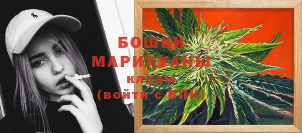 МДПВ Осташков