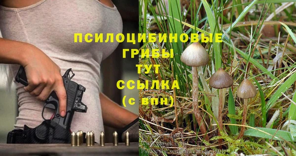 МДПВ Осташков
