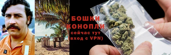 МДПВ Осташков