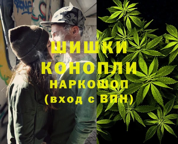 МДПВ Осташков