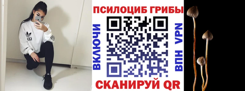 Галлюциногенные грибы Psilocybe  Купить закладки  Пыталово 